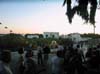 tn_Picture 01 (7)